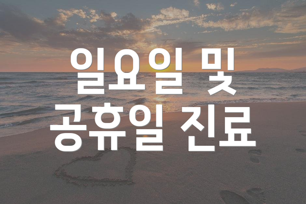 일요일 및 공휴일 진료