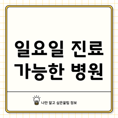 일요일 진료 가능한 병원