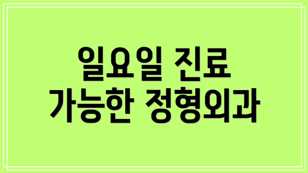 일요일 진료 가능한 정형외과