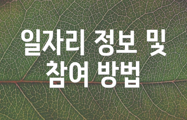 일자리 정보 및 참여 방법