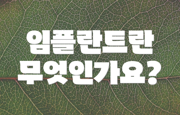 임플란트란 무엇인가요?