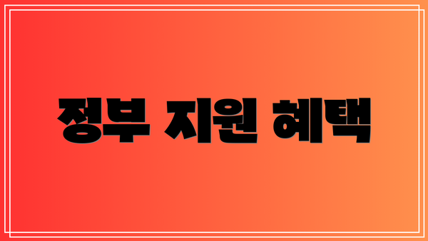 정부 지원 혜택