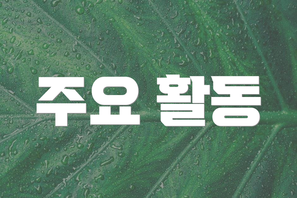 주요 활동