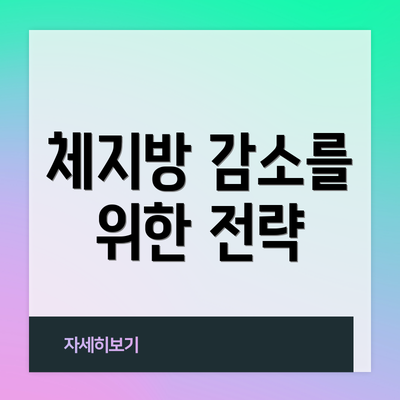 체지방 감소를 위한 전략