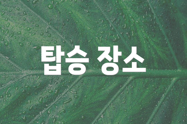 탑승 장소