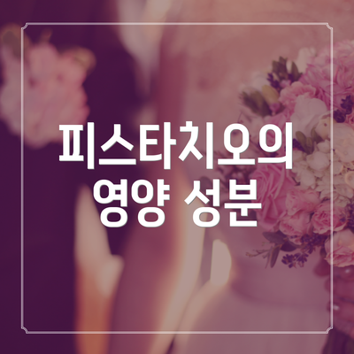 피스타치오의 영양 성분