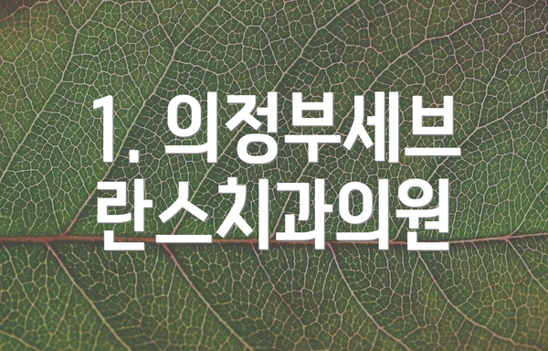 1. 의정부세브란스치과의원