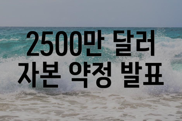 2500만 달러 자본 약정 발표