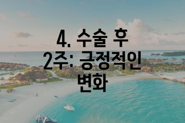 4. 수술 후 2주: 긍정적인 변화