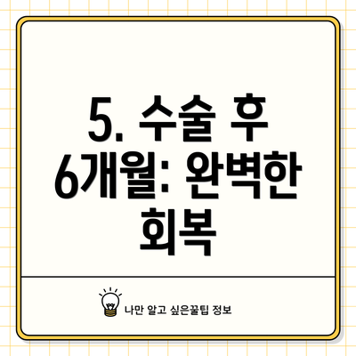 5. 수술 후 6개월: 완벽한 회복
