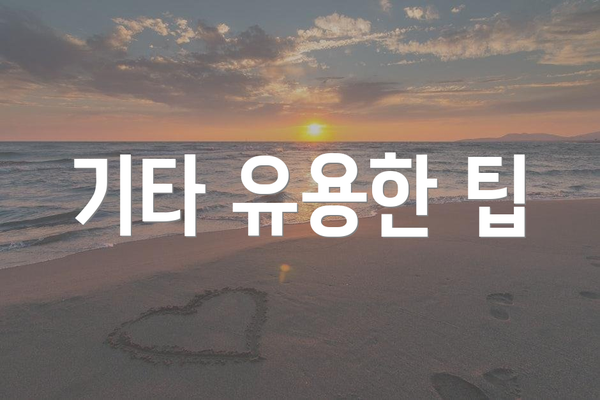 기타 유용한 팁