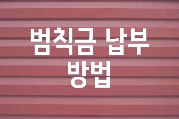 범칙금 납부 방법