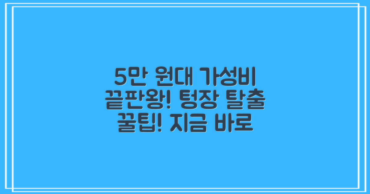 5만 원대 가성비