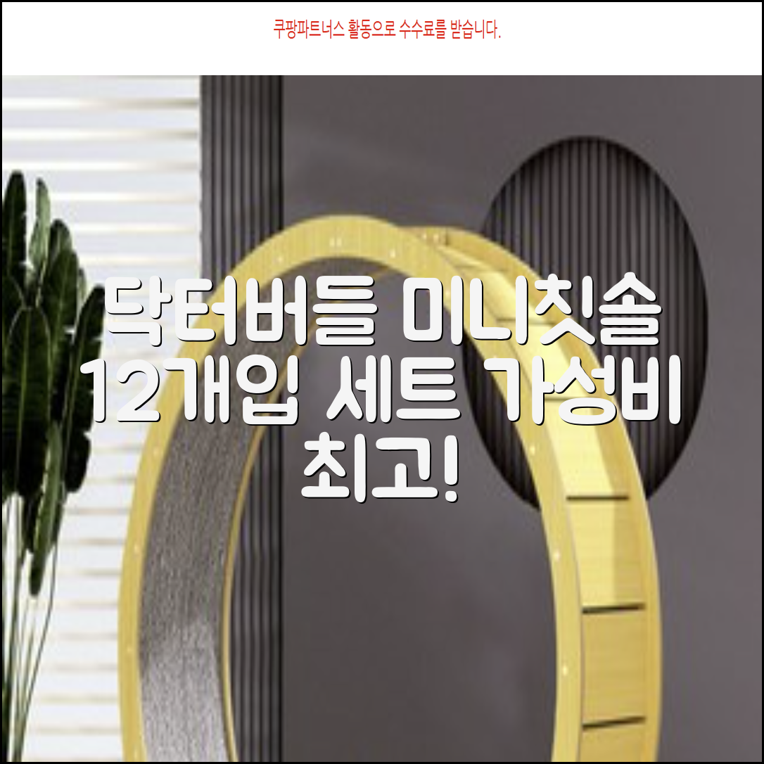 닥터버들 미니헤드 칫솔 세트, 12개입, 1개 추천 리뷰