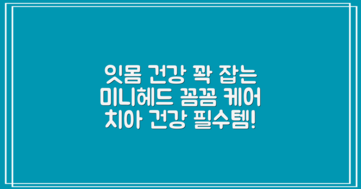 잇몸 건강, 미니헤드로 꼼꼼하게