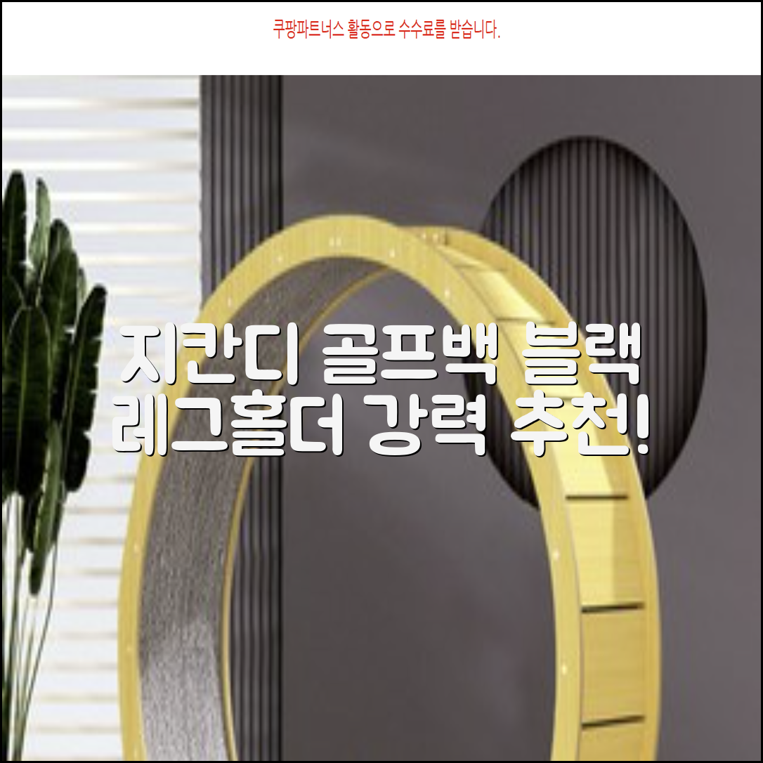 지칸디 골프 스탠드백 레그홀더 다리고정 바닥 지지대, 블랙 추천 리뷰