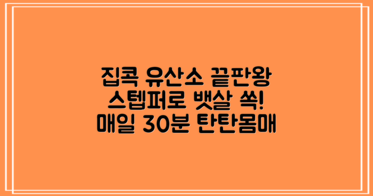 집에서 즐기는 유산소, 스텝퍼