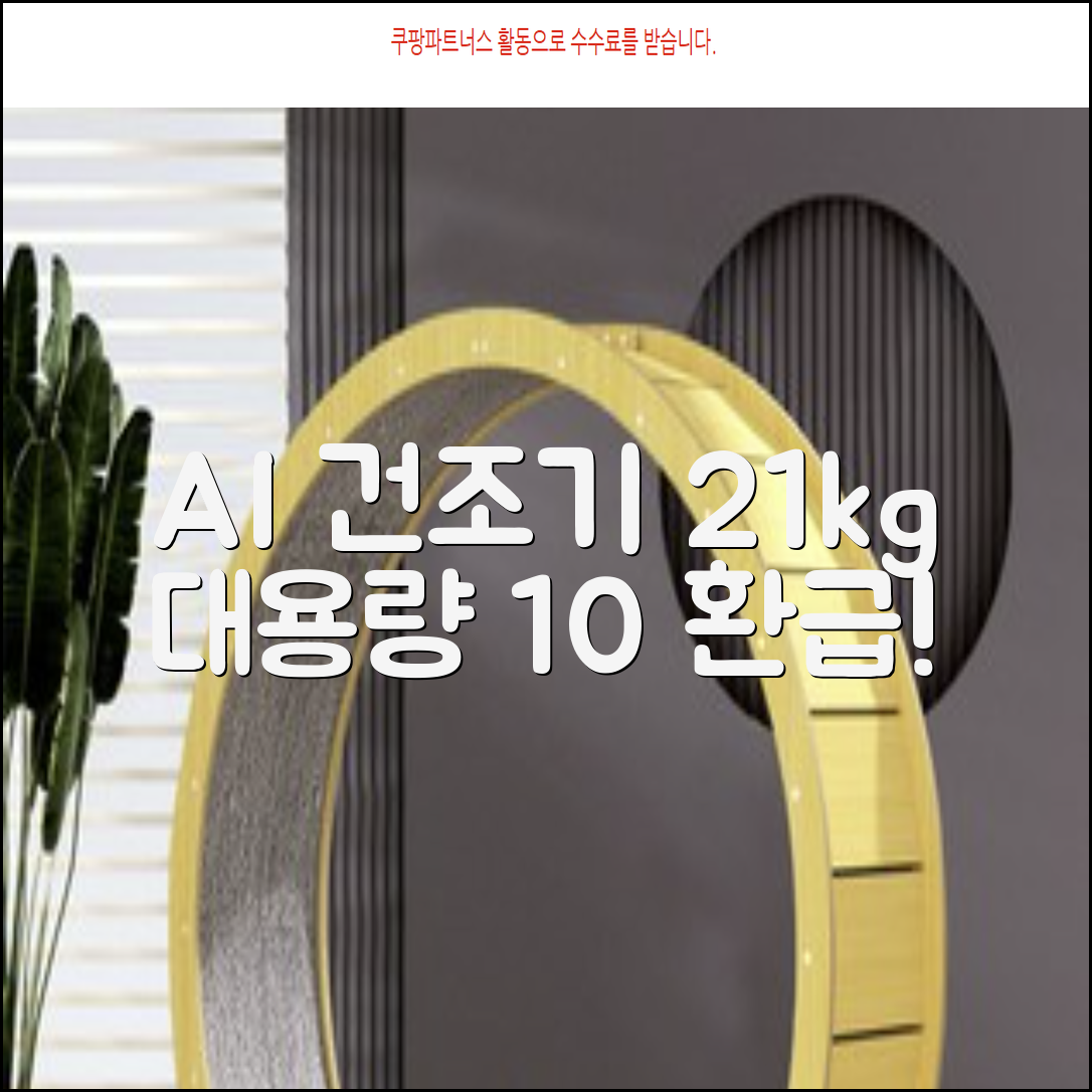 [10% 환급가전] 삼성전자 AI 건조기 DV21DG8200BW 21kg 방문설치, 화이트 추천 리뷰